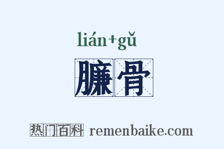 臁骨是什么意思的图片